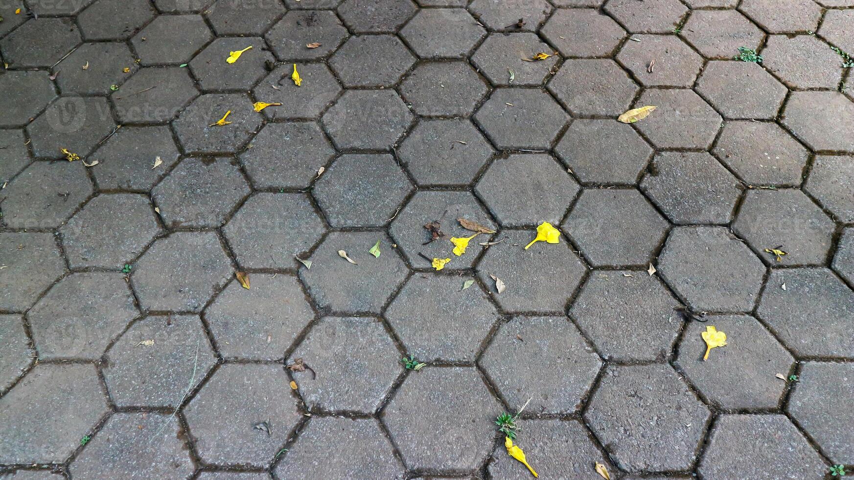 hexagonal shape paving stone sidewalk photo