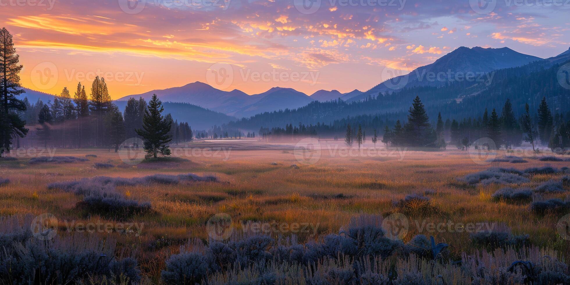 ai generado el temprano amanecer ligero fundición calentar colores terminado un prado con pastos y un amable niebla creciente foto