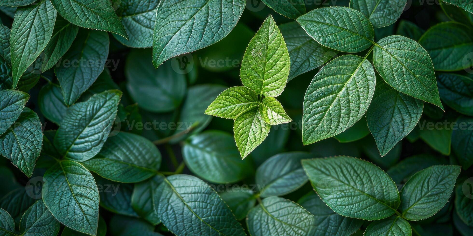 AI generated Vivid green leaves exhibiting the intricate patterns and textures of nature, highlighted with a sharp, dramatic focus photo