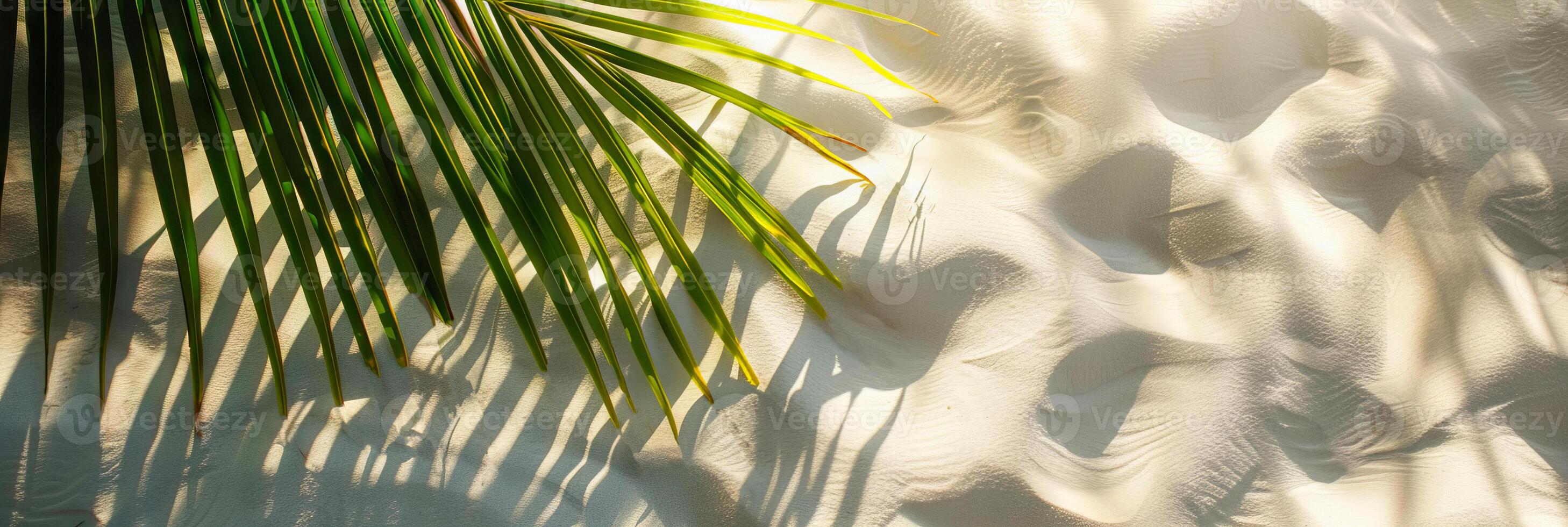 AI generated Palm leaf shadow on a textured white sand background with sunlight patterns on the surface photo