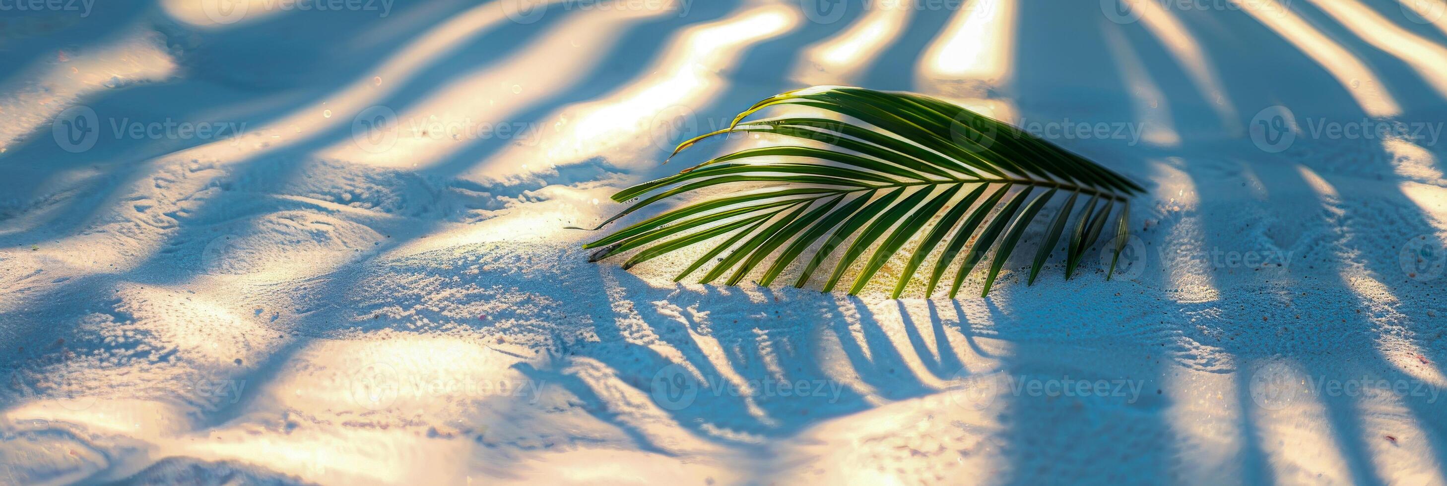 AI generated Palm leaf shadow on a textured white sand background with sunlight patterns on the surface photo