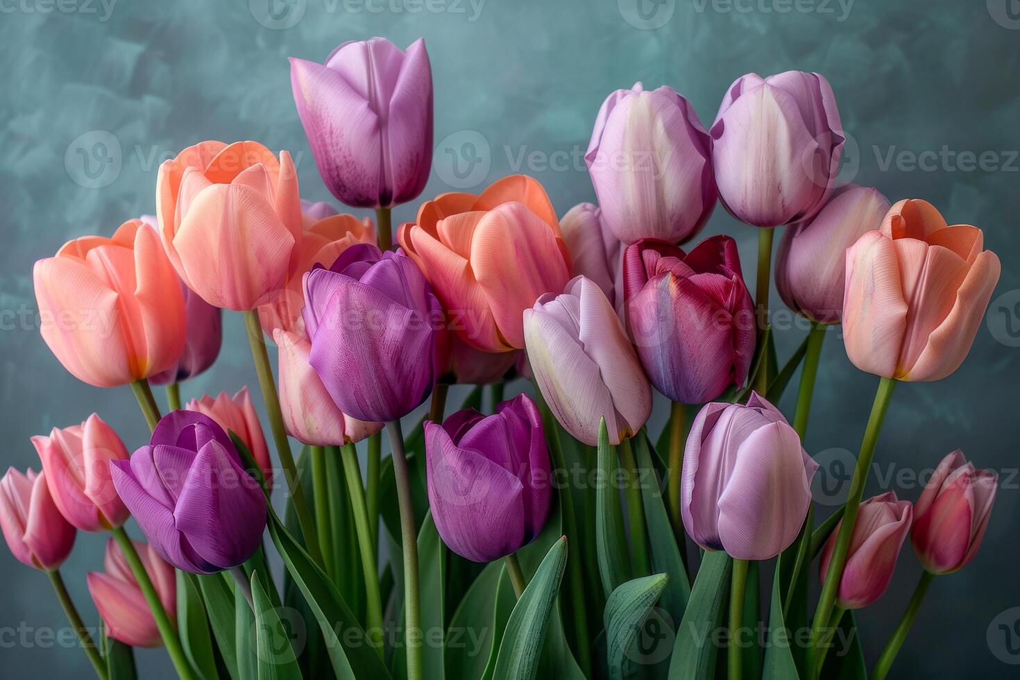 AI generated Radiant selection of tulips in shades of pink, rose, and lavender complemented by a gentle blue background with a subtle glow photo