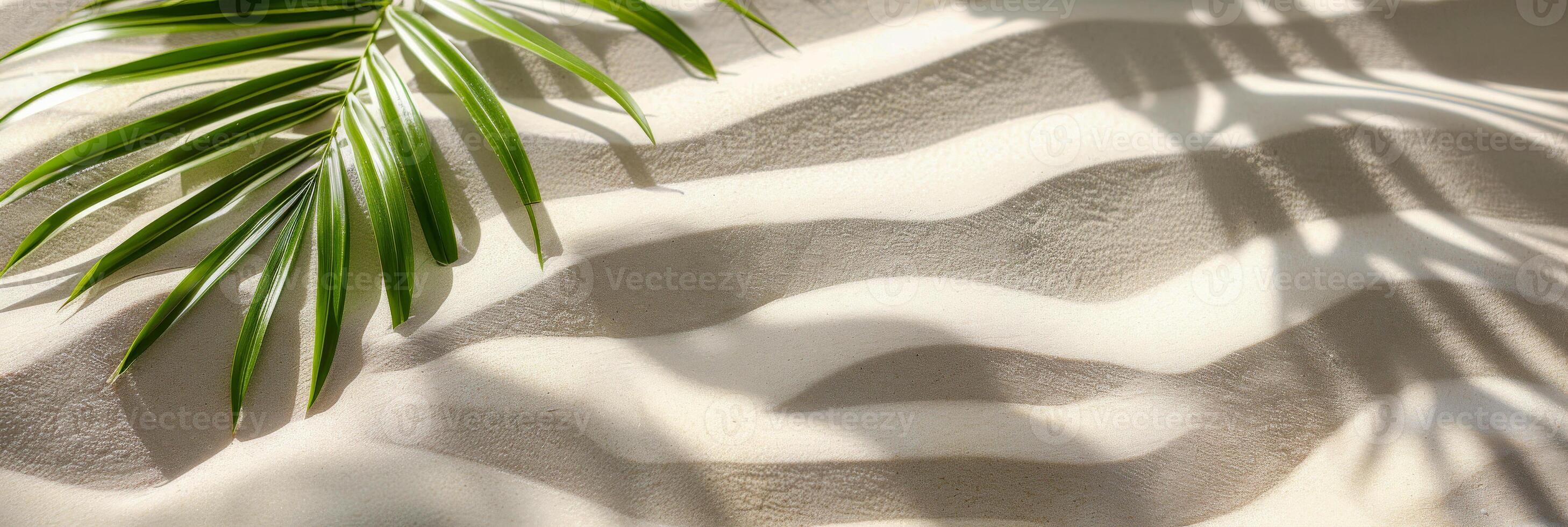 AI generated An elegant palm leaf casts a beautiful pattern of shadows on the textured surface of white sand, evoking a sense of calm and tropical serenity photo