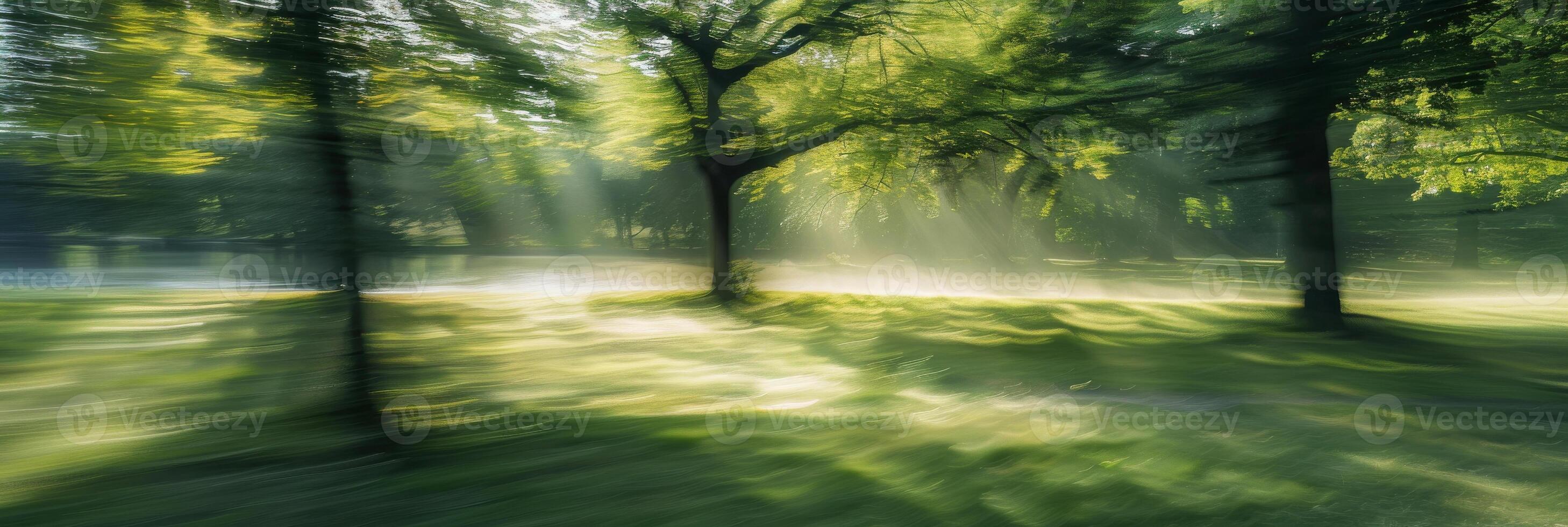 Sunbeams Streaming Through Verdant Park Trees photo