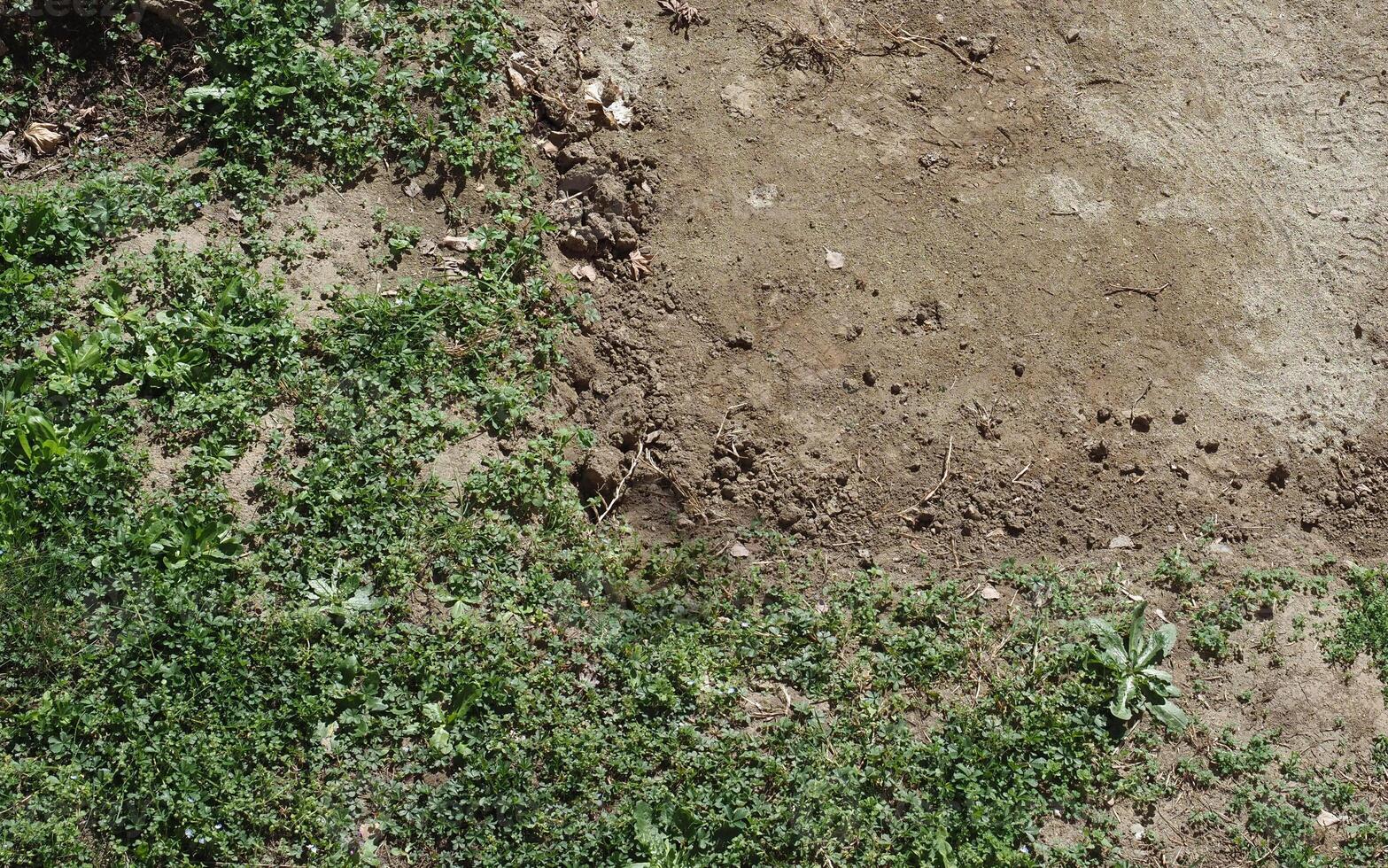 brown earth texture background photo