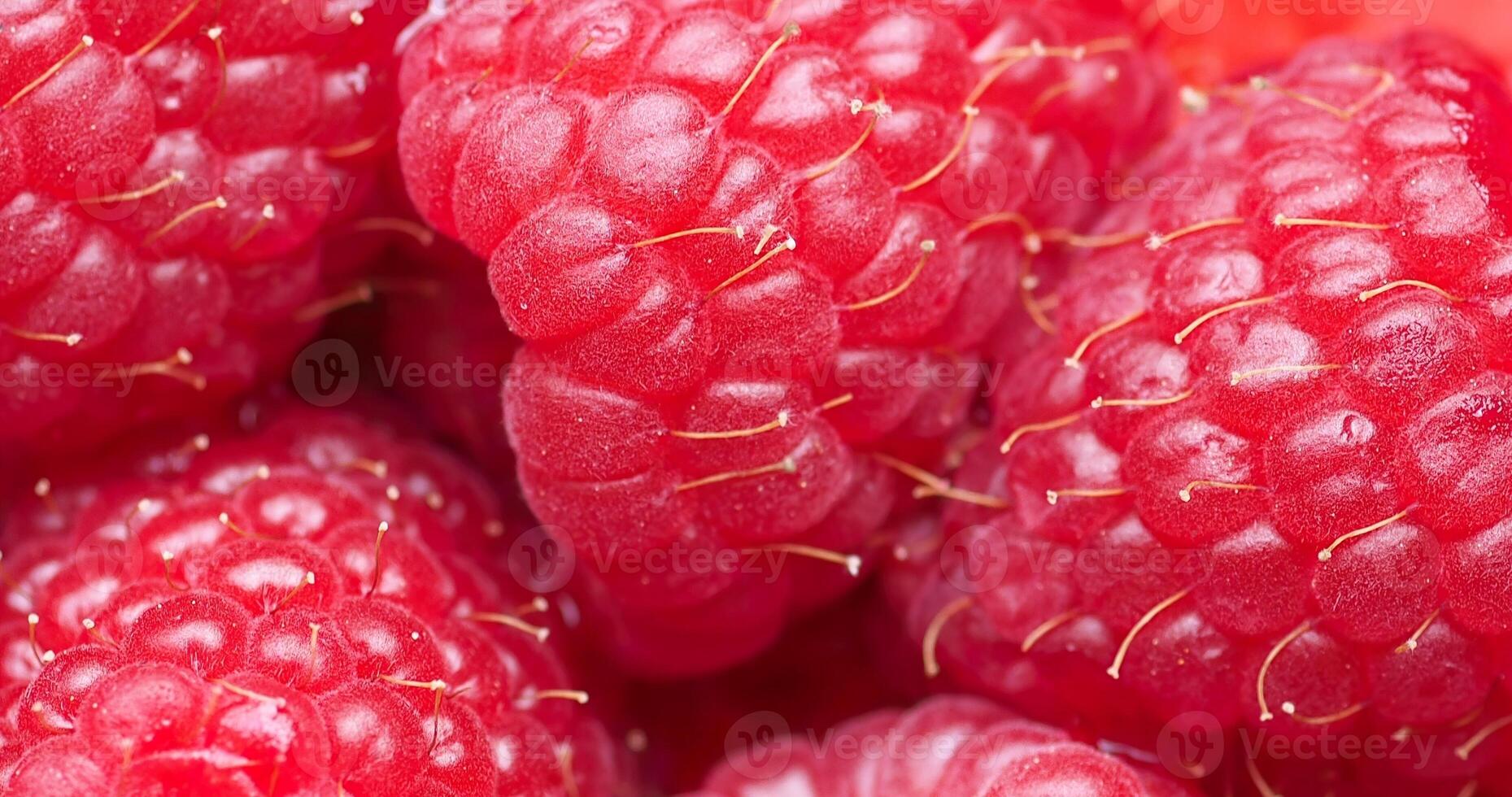 raspberry fruit background photo