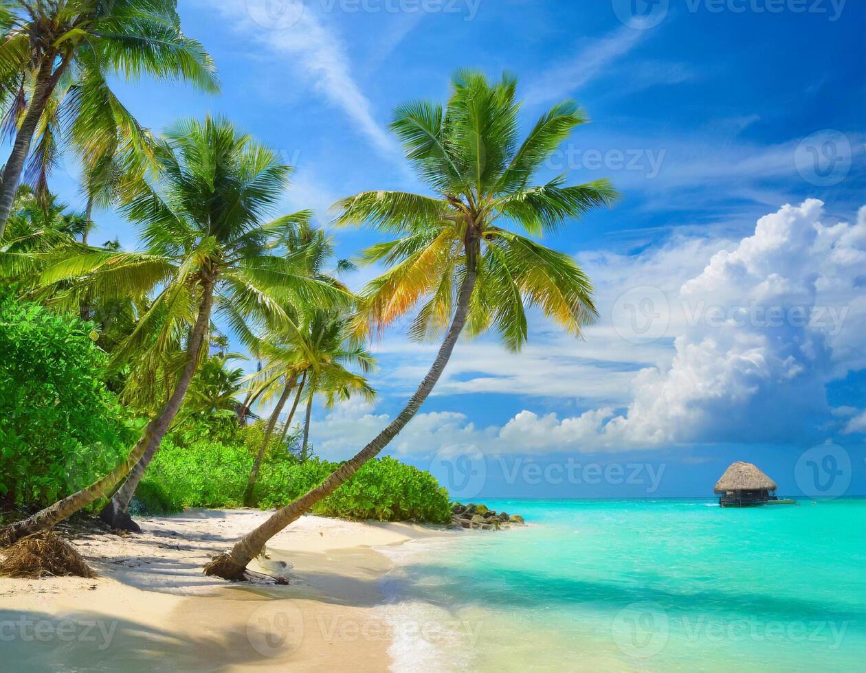 palms on tropical beach photo