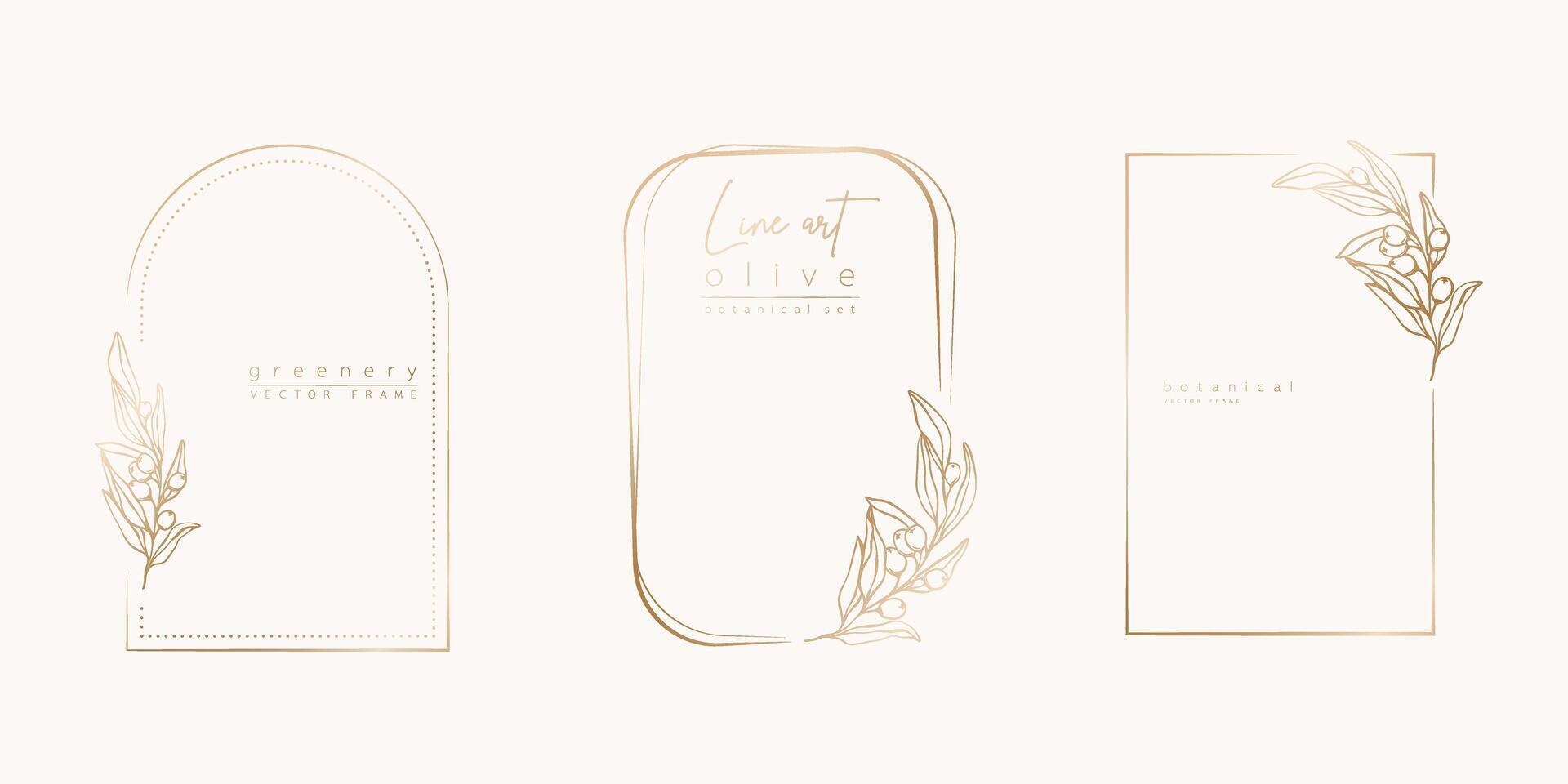 Botanical line art illustration set of olive leaves, branch frames for wedding invitation and cards, logo design, web, social media and posters template. Elegant minimal style floral isolated. vector