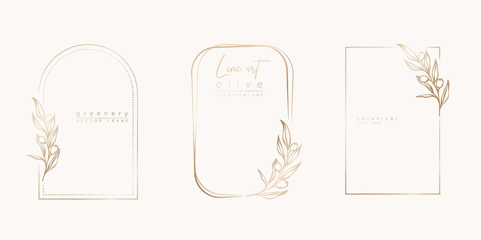 Botanical line art illustration set of olive leaves, branch frames for wedding invitation and cards, logo design, web, social media and posters template. Elegant minimal style floral isolated. vector