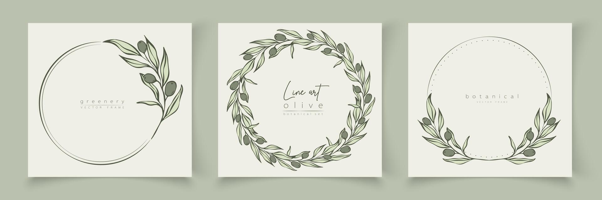 Botanical line art illustration set of olive leaves, branch frames for wedding invitation and cards, logo design, web, social media and posters template. Elegant minimal style floral isolated. vector