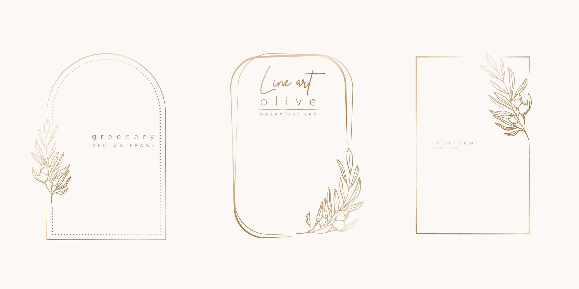 Botanical line art illustration set of olive leaves, branch frames for wedding invitation and cards, logo design, web, social media and posters template. Elegant minimal style floral isolated. vector