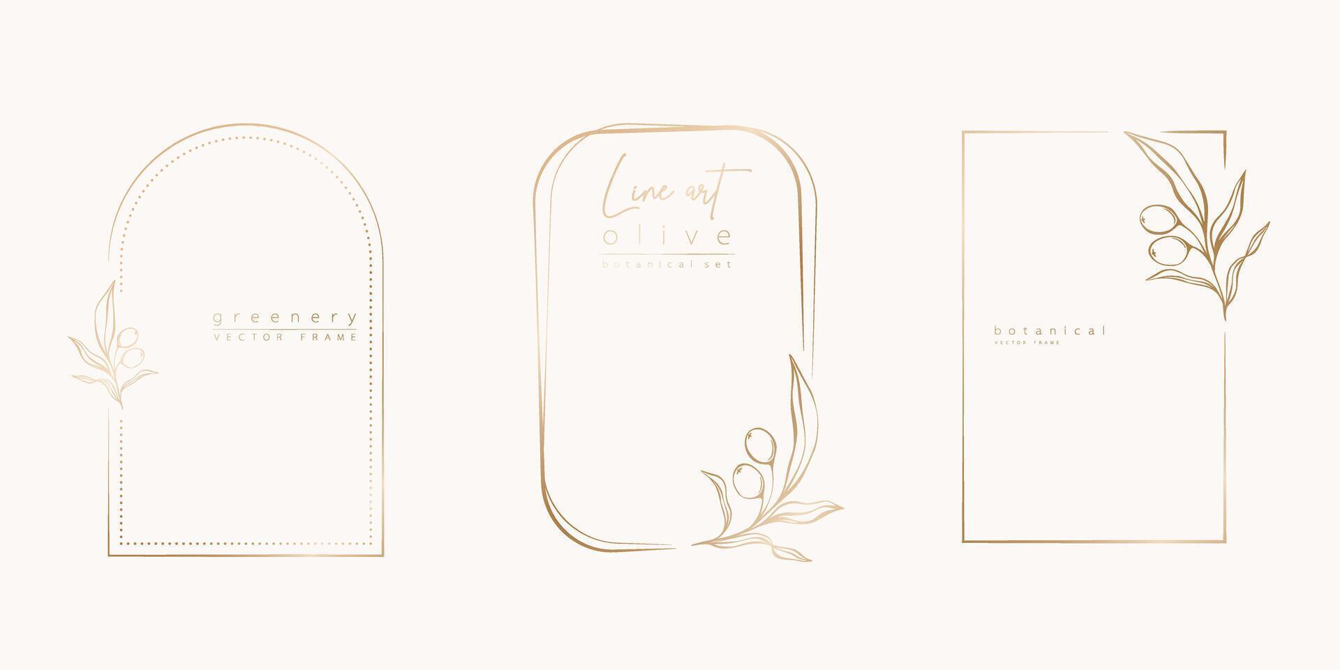 Botanical line art illustration set of olive leaves, branch frames for wedding invitation and cards, logo design, web, social media and posters template. Elegant minimal style floral isolated. vector