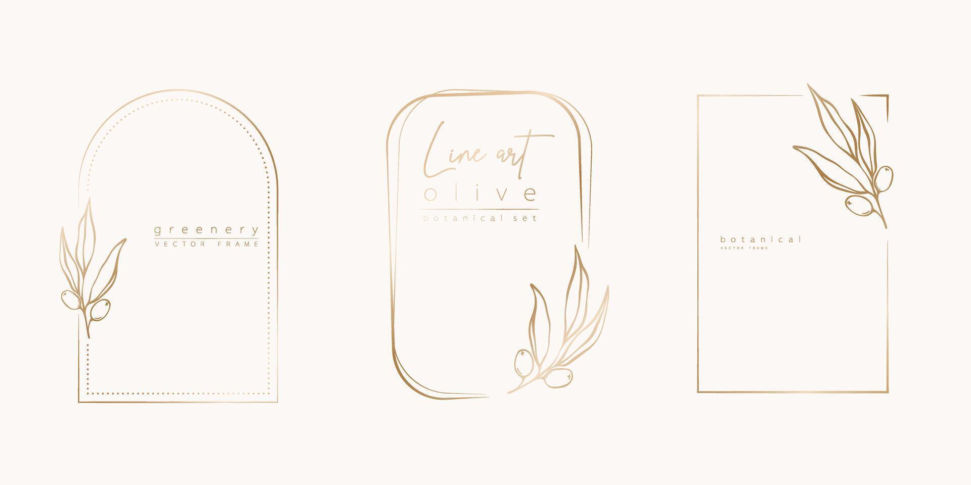 Botanical line art illustration set of olive leaves, branch frames for wedding invitation and cards, logo design, web, social media and posters template. Elegant minimal style floral isolated. vector