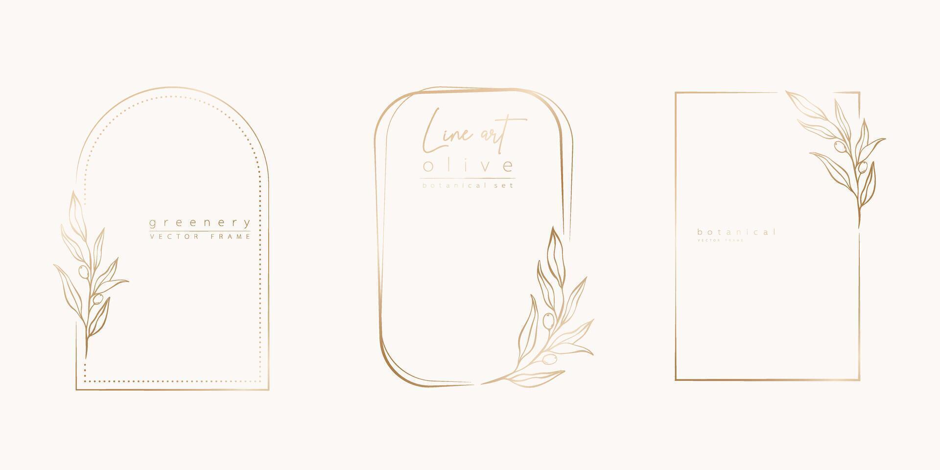 Botanical line art illustration set of olive leaves, branch frames for wedding invitation and cards, logo design, web, social media and posters template. Elegant minimal style floral isolated. vector