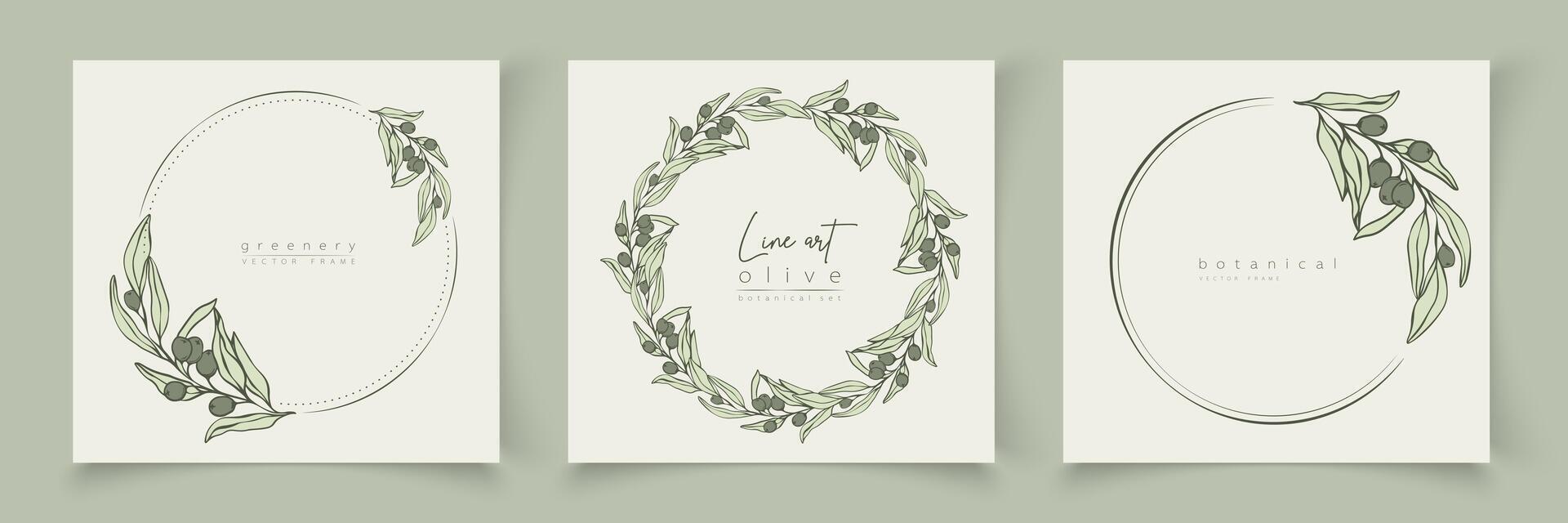 Botanical line art illustration set of olive leaves, branch frames for wedding invitation and cards, logo design, web, social media and posters template. Elegant minimal style floral isolated. vector