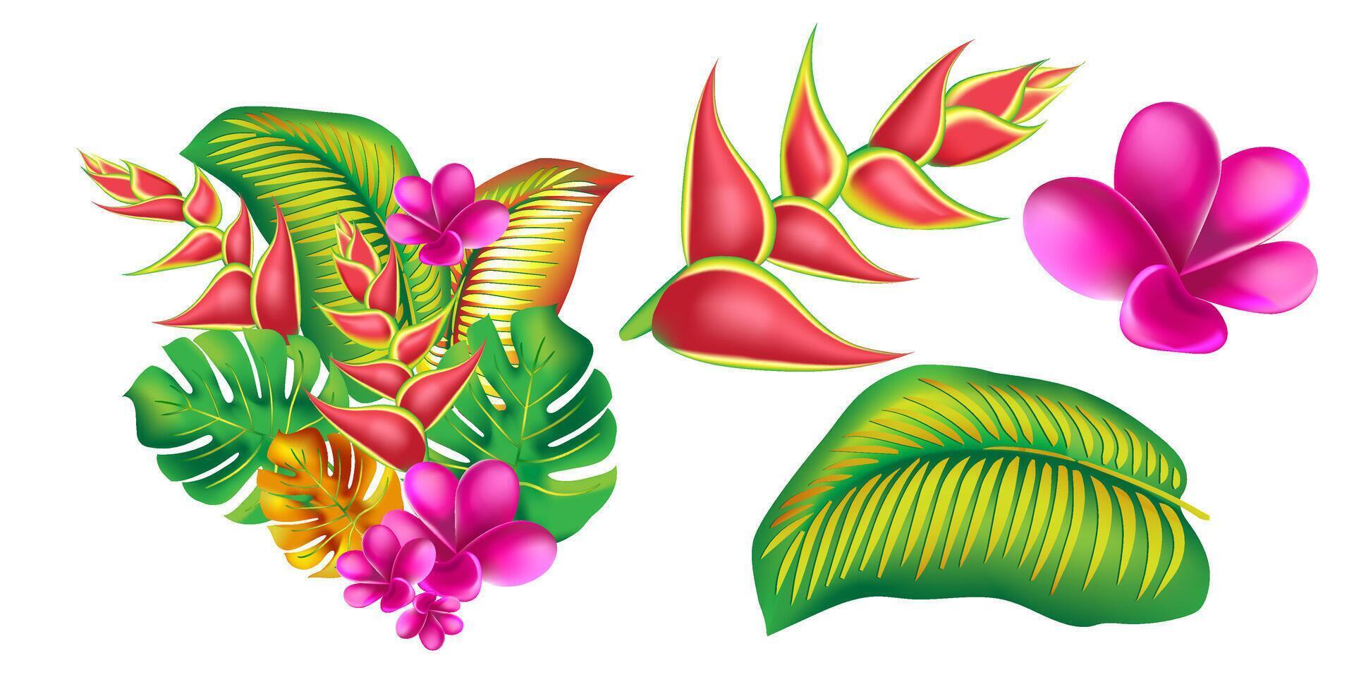selva flor, hojas trópico colocar. aislado elementos. palma hoja, monstruo, rosado plumeria flor, hibisco florecer, exótico tropical verano flores y hojas. vector