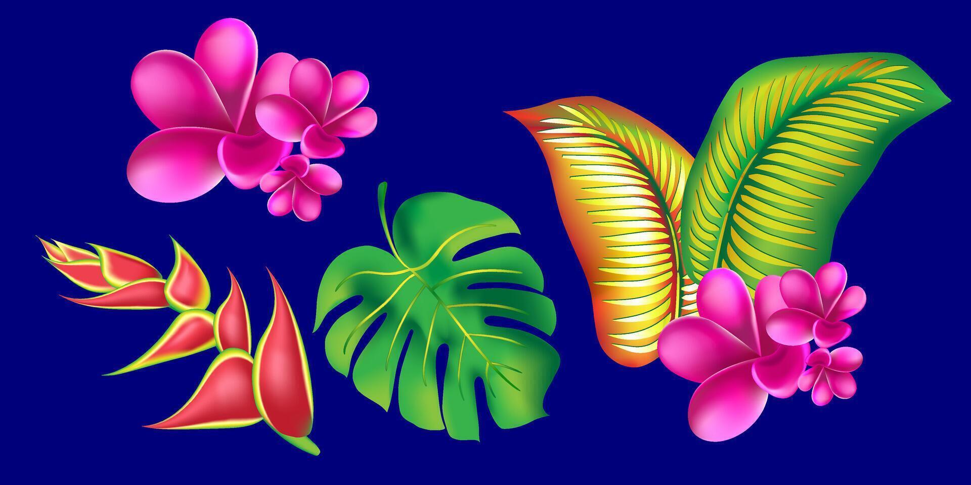 jungle flower,leaves tropic set. isolated elements. Palm leaf, monstera, pink plumeria flower,hibiscus blossom, exotic tropical summer flowers and leaves. vector