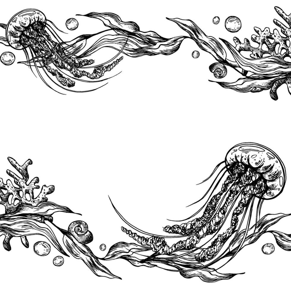 Underwater world clipart with sea animals jellyfish, bubbles, coral and algae. Graphic illustration hand drawn in black ink. Template, frame EPS . vector