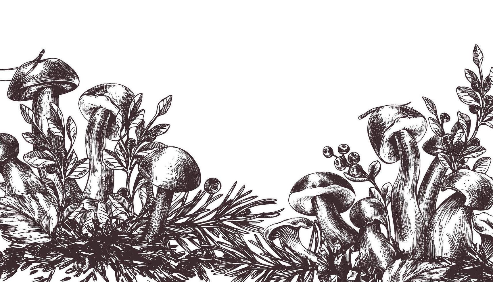 Forest mushrooms, boletus, chanterelles and blueberries, lingonberries, twigs, cones, leaves. Graphic illustration hand drawn in black ink. Frame, border, template EPS . vector