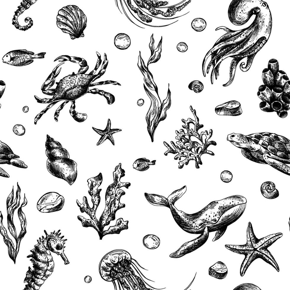 Underwater world clipart with sea animals whale, turtle, octopus, seahorse, starfish, shells, coral and algae. Graphic illustration hand drawn in black ink. Seamless pattern EPS . vector