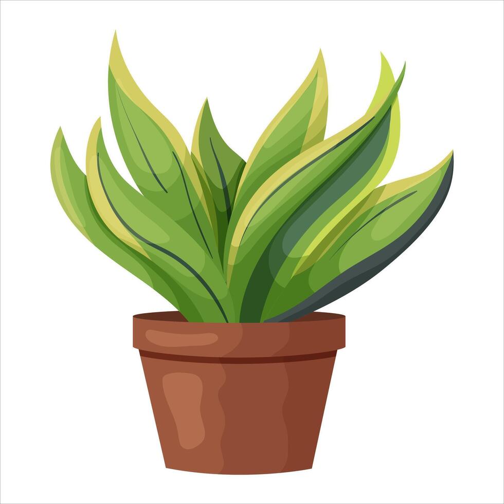 illustration of a potted houseplant with leaves. vector