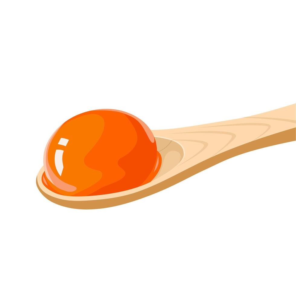 Illustration, salted egg yolk on a wooden spoon, isolated on white background. vector