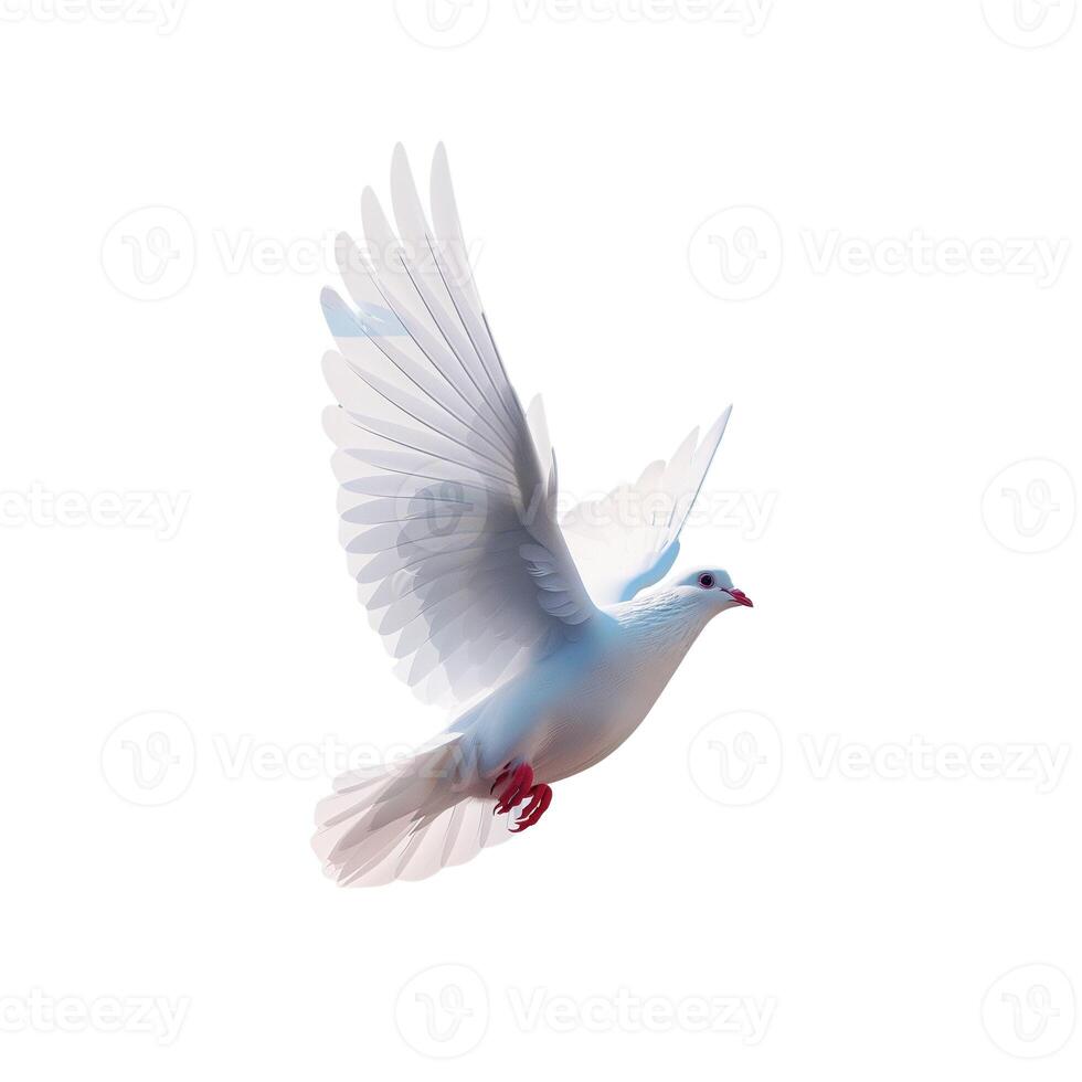 White Bird Gracefully Soaring in Sky photo