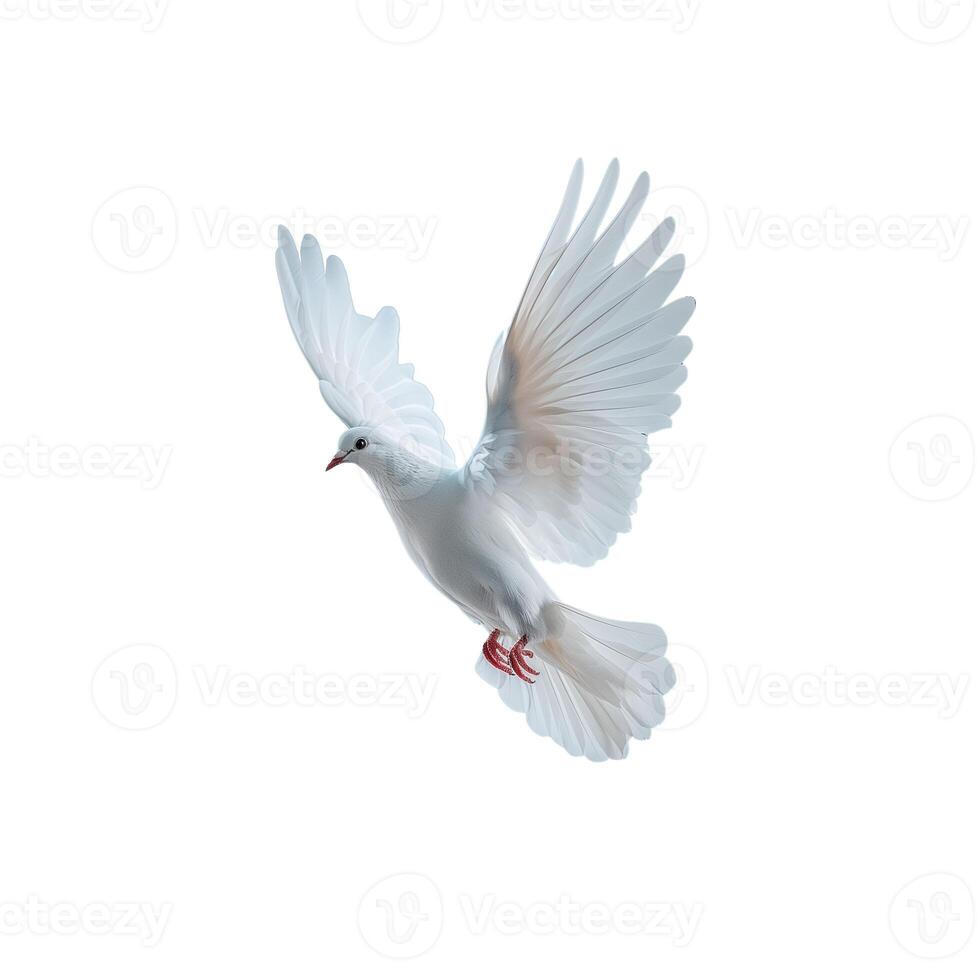 Elegant White Dove in Flight Against photo