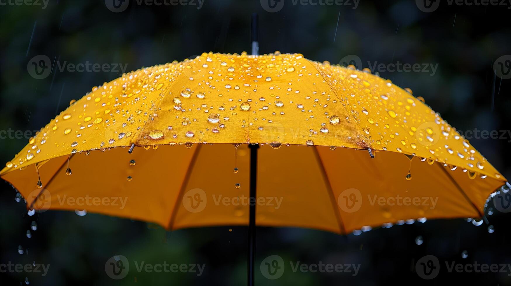 Yellow Umbrella With Raindrops on Gloomy Day photo