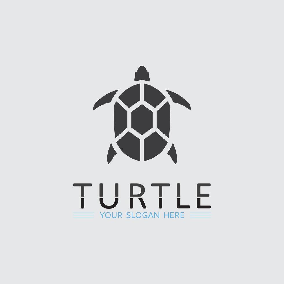 tortuga, animal, caricatura, icono vector