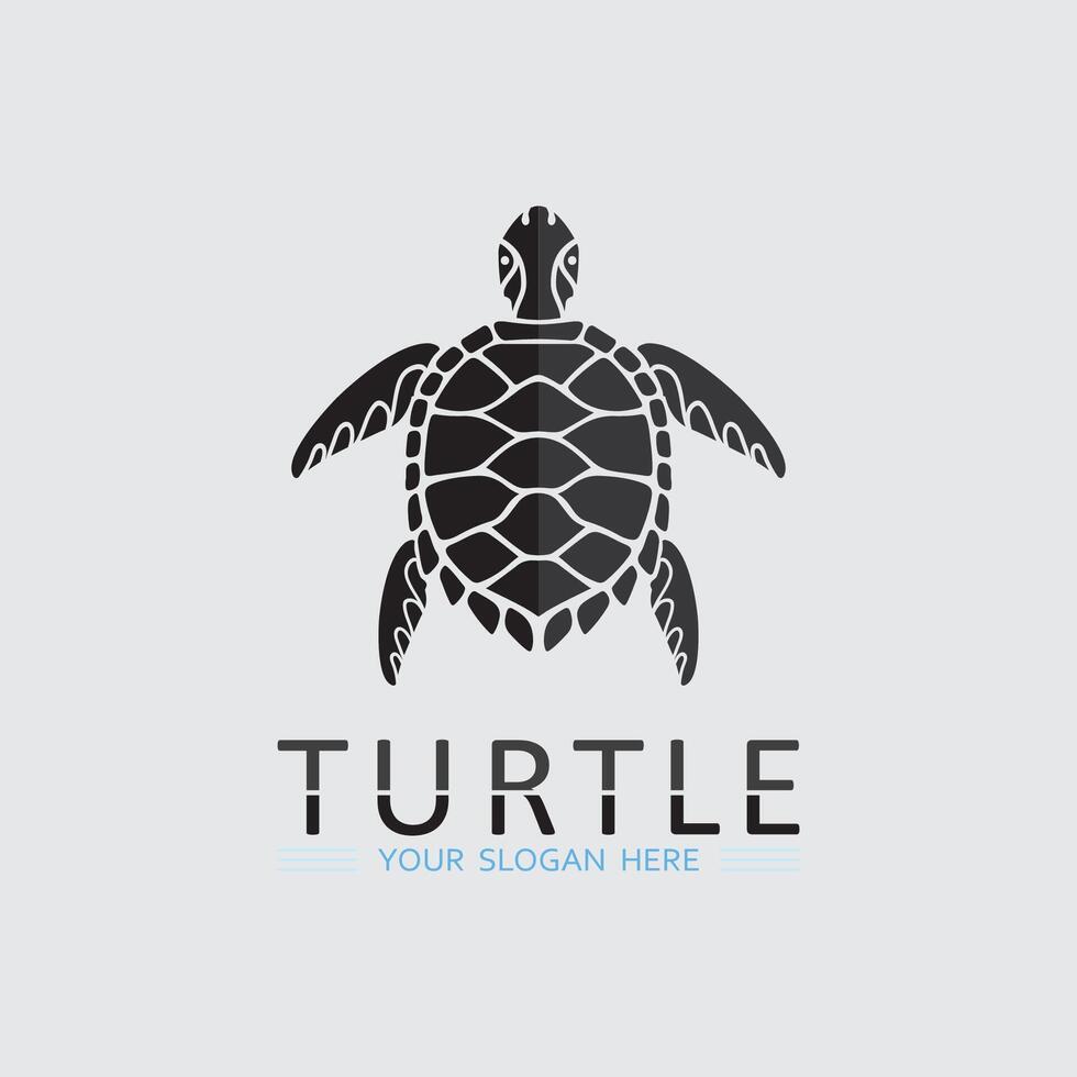 Turtle animal cartoon icon vector