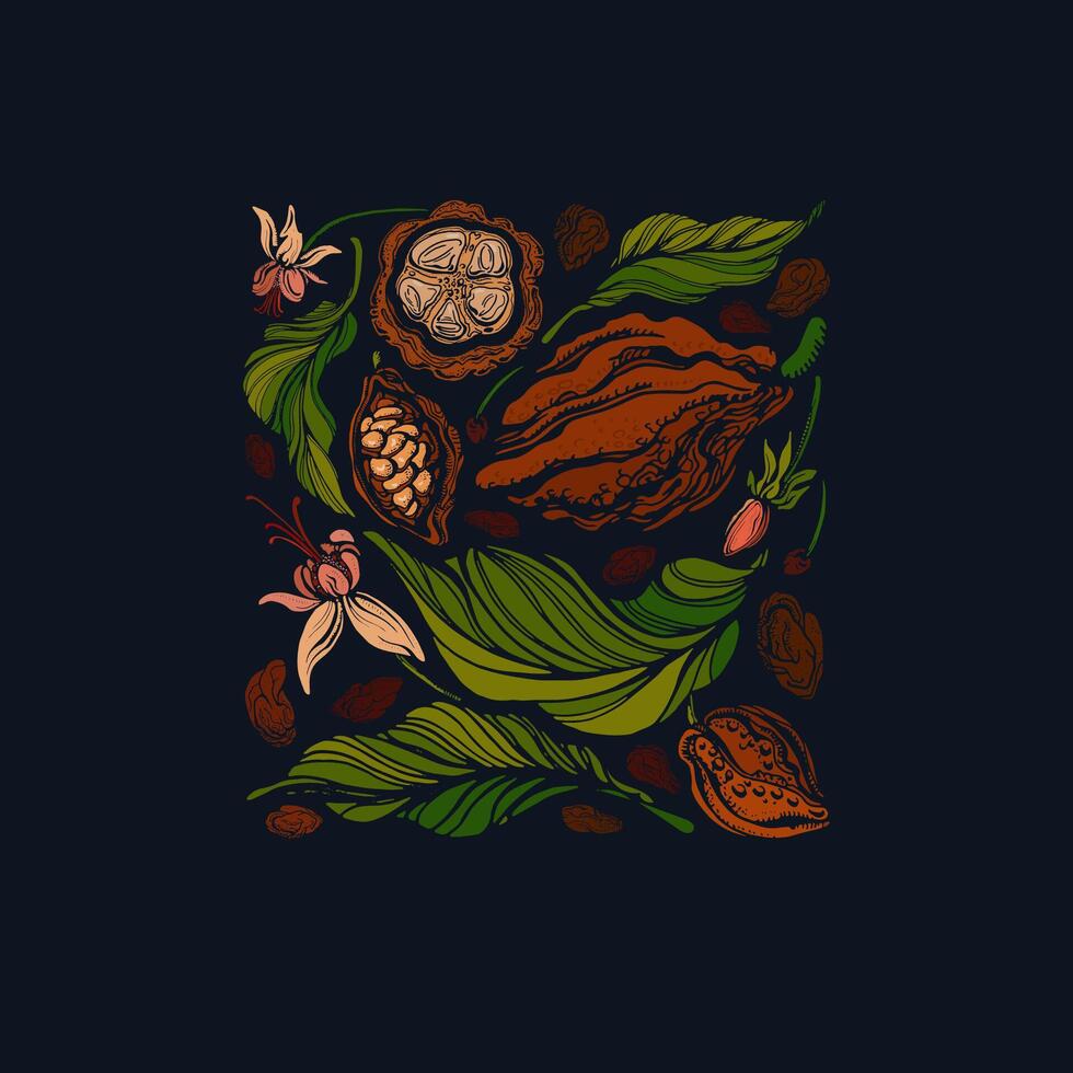 Cocoa. Dark chocolate. fruit, leaves, beans vector
