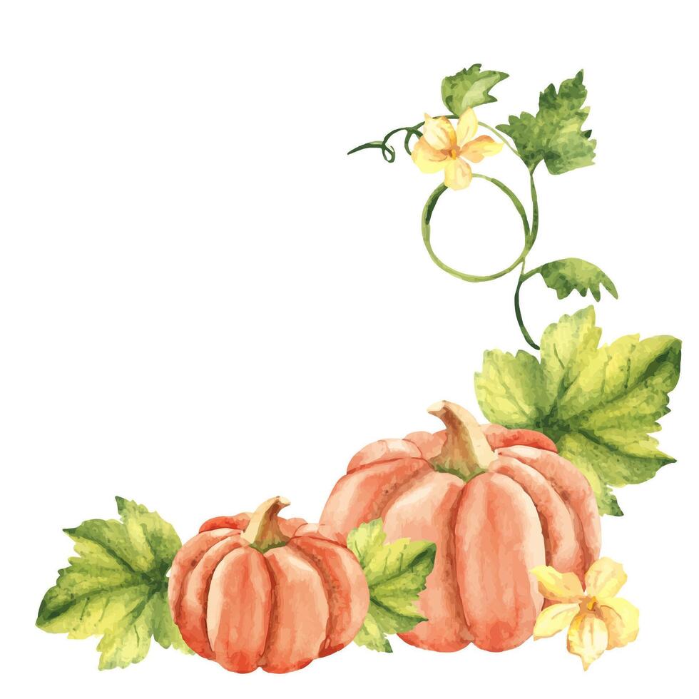 Pumpkin watercolor corner compositions. Hand drawn vegetable botanical illustration. Vintage stile. vector