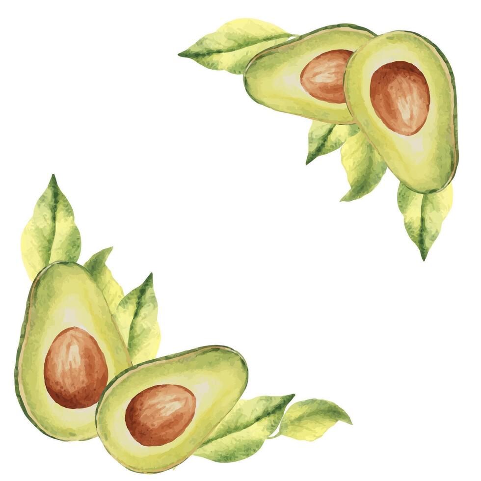 aguacate esquina composiciones con aguacate medio Fruta y hojas. botánico vegetal mano dibujado acuarela ilustración aislado en blanco antecedentes. lata ser usado para tarjetas, logos y textil diseño. vector