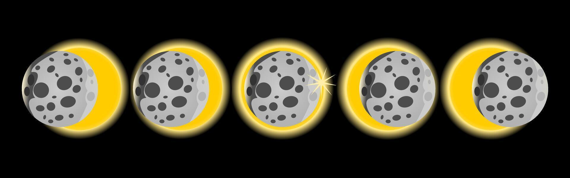 Total solar eclipse phases. vector