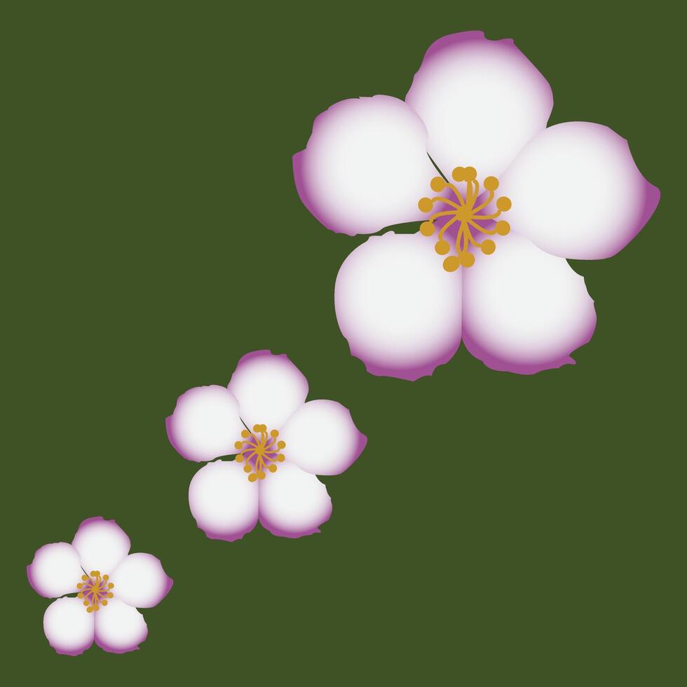beautiful tung blossom design vector
