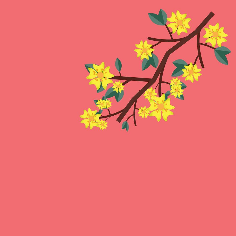 apricot blossom clip art, apricot blossom vector