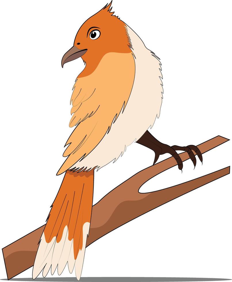 pájaro Arte y ilustración vector