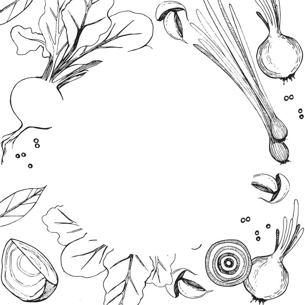 Illustration. Round frame with bleed. Vegetables, beets, onions, green onions, garlic, peppercorns, vegetable slices. All objects are drawn in in black. For printing on paper, menus, recipes vector