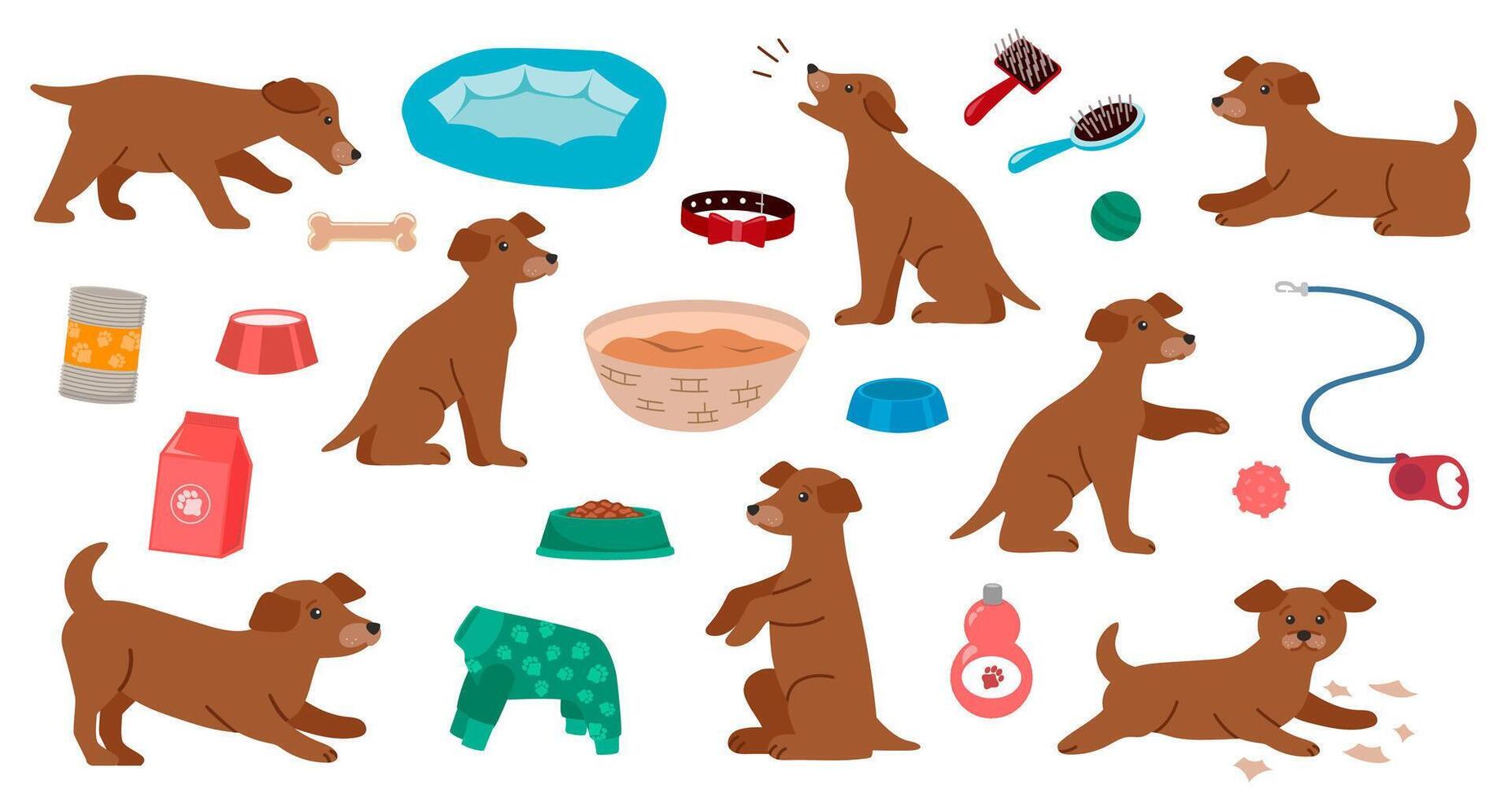 Cute puppies and pet products food, toys, bed. Set of caring dogs cute colorful elements. vector