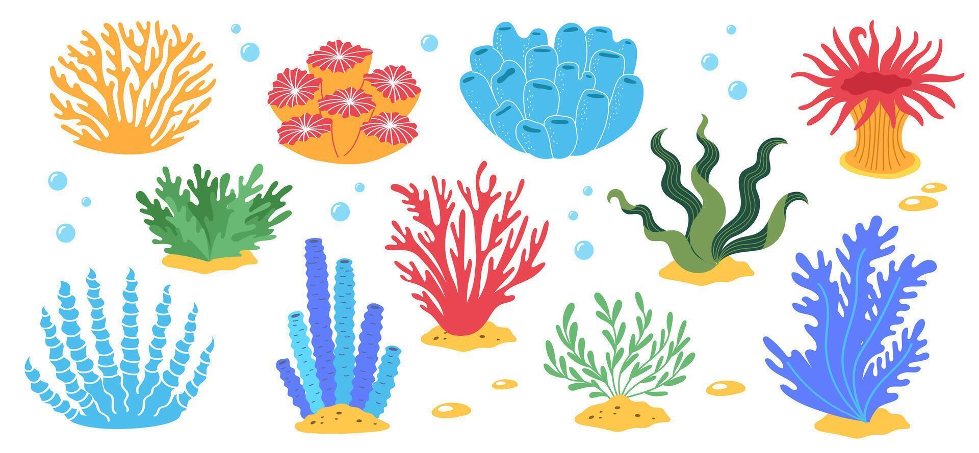 Coral and ocean plants set. Underwater flora and seaweed. Aquatic plant, tropical seabed elements collection. vector