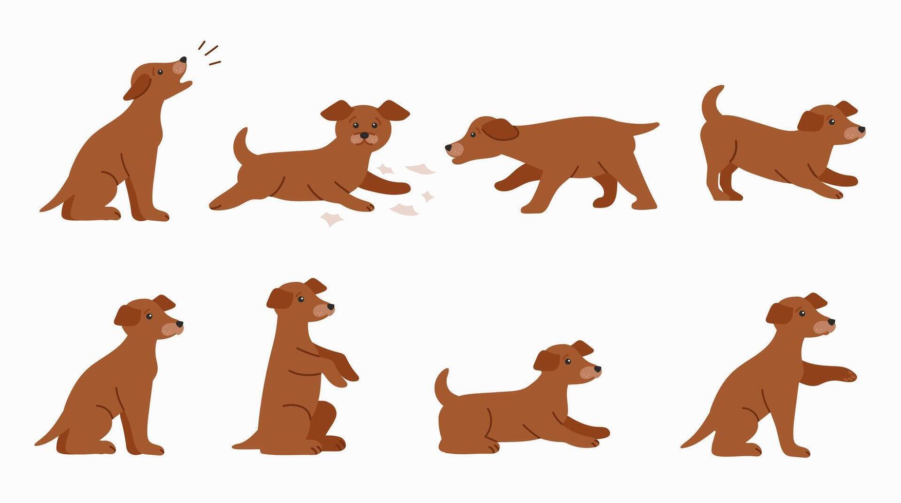 Dog in various poses isolated illustrations on white background. vector