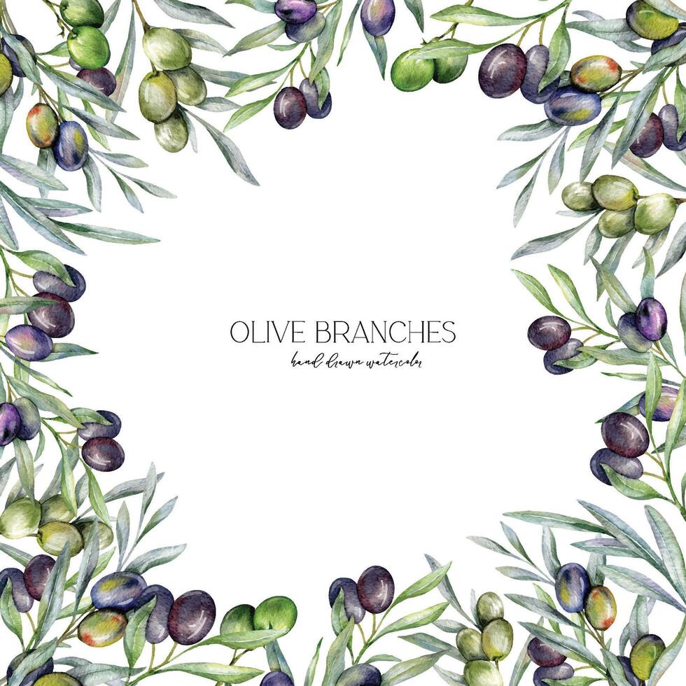 Olives Watercolor Illustration. Olive Branches Greenery Hand Painted Watercolor isolated on white background. Perfect for olive wedding invitations, floral labels, bridal shower and greeting cards vector