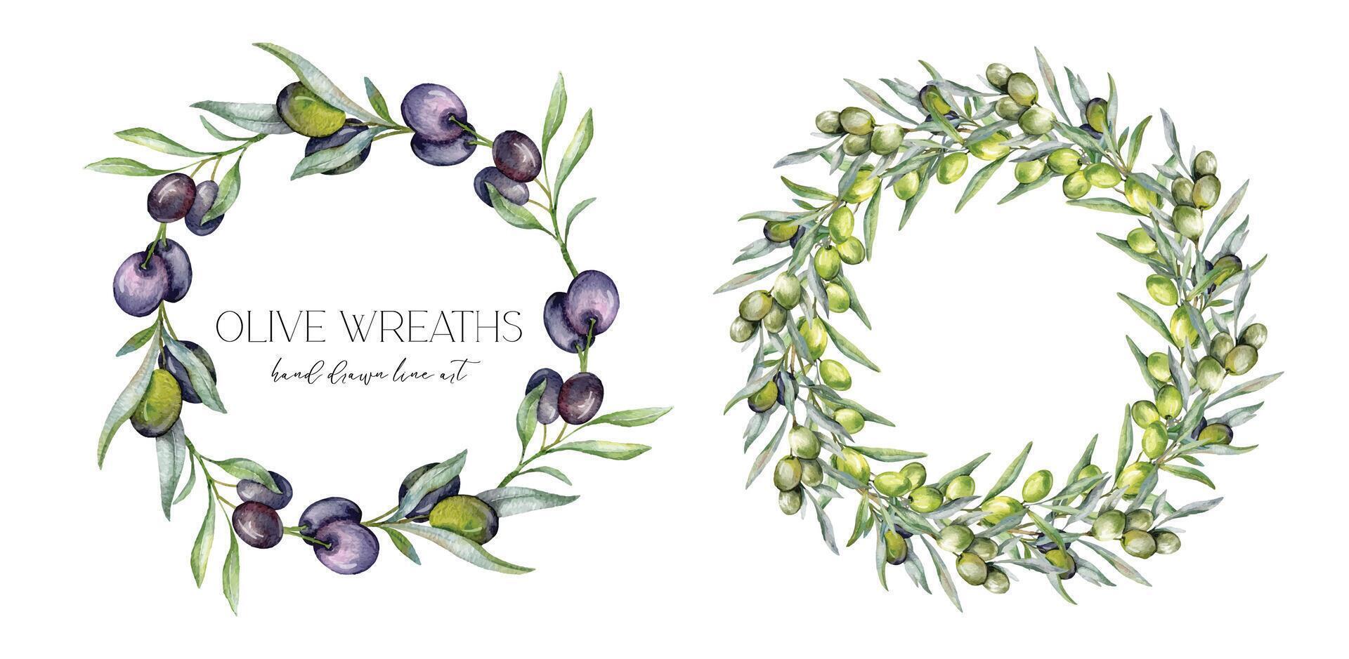 aceitunas acuarela ilustración. aceituna ramas verdor mano pintado acuarela aislado en blanco antecedentes. Perfecto para aceituna Boda invitaciones, floral etiquetas, nupcial ducha y saludo tarjetas vector