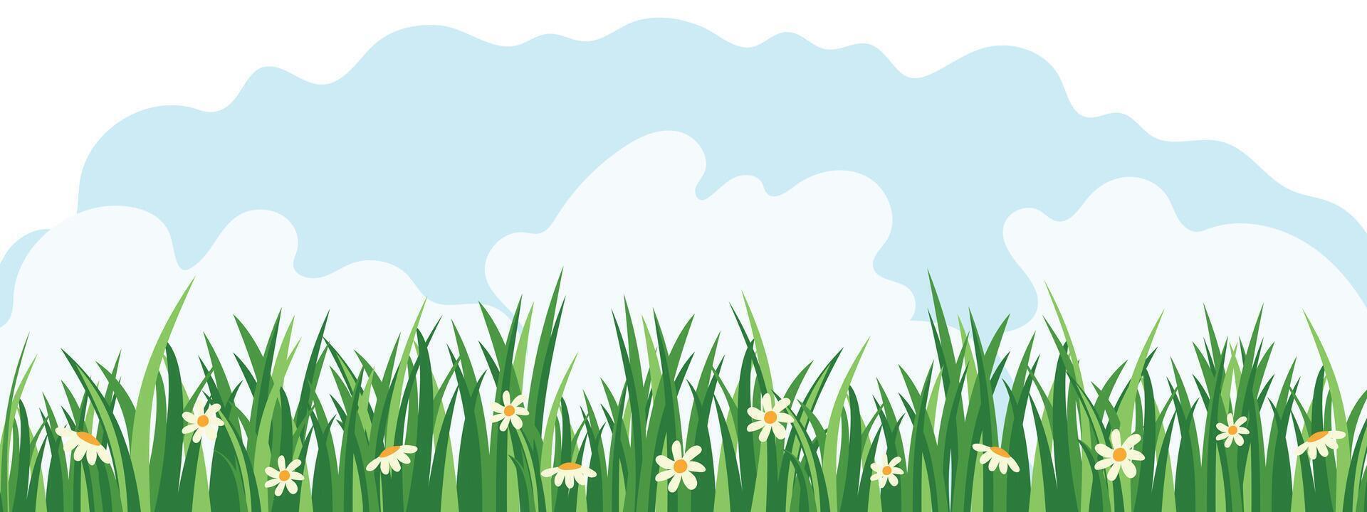 Summer background with daisies, clouds and grass. Summer banner for advertising and sales. vector