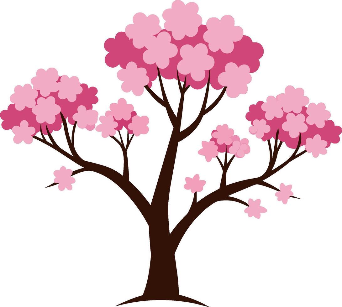 Cherry tree with pink flowers isolated on white background vector