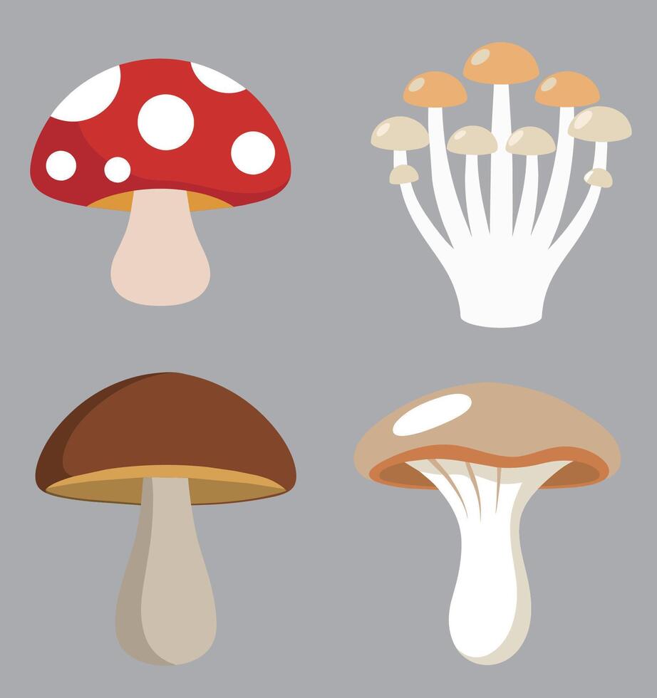 Mushroom set. Different types of mushrooms vector