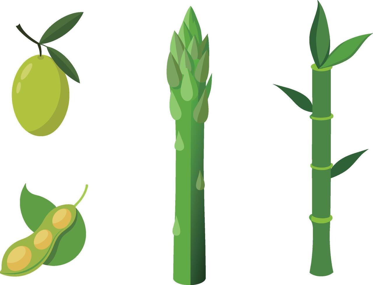 Green asparagus, olives and beans vector