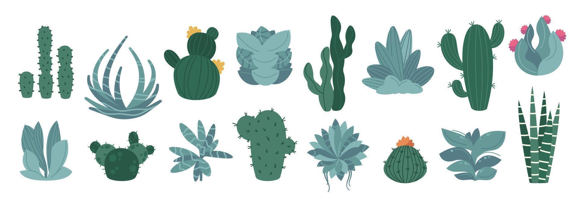 cactus y suculento plantas. dibujos animados espinoso decorativo botánico jardín elementos, linda agave y cactus con espinas y Picos. aislado colección vector