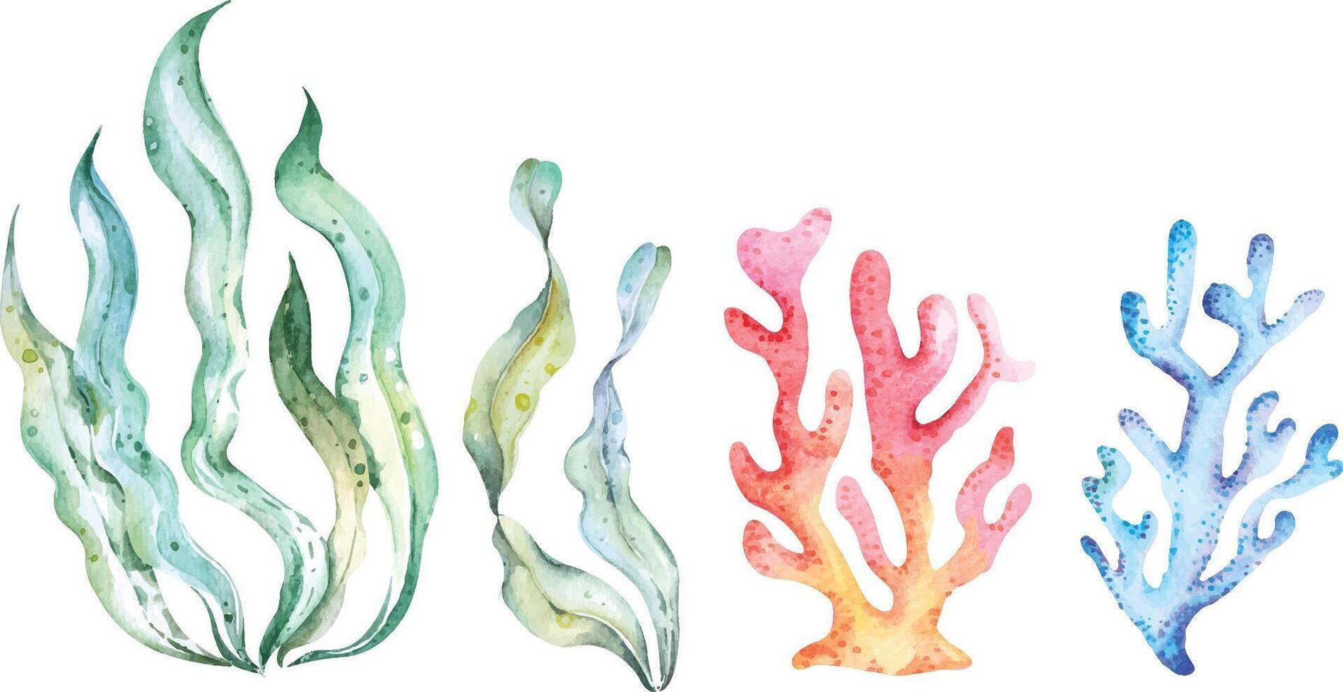 Coral and green seaweed painted with watercolor.Sea underwater life.Underwater plants. vector